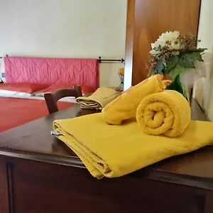 Trattoria Gatto Gambarone Italia