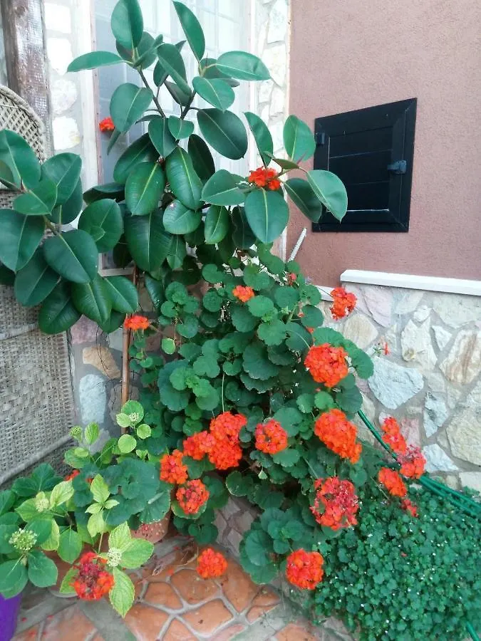 Accussi Bed & Breakfast Alcamo Marina 2*,